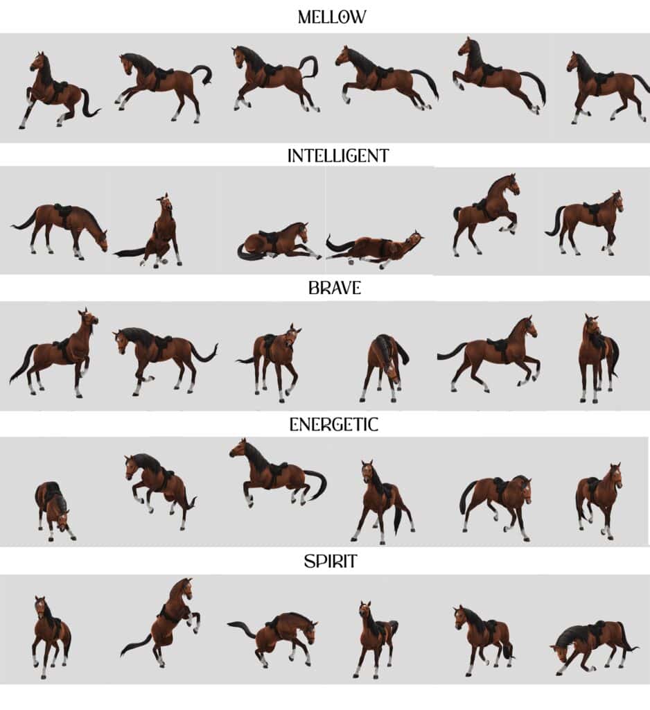 CAS Horse Poses