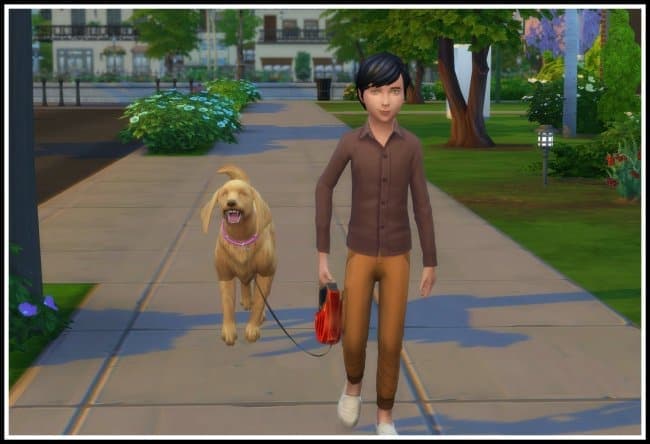 Kids Can Walk The Dog Sims 4 Mod