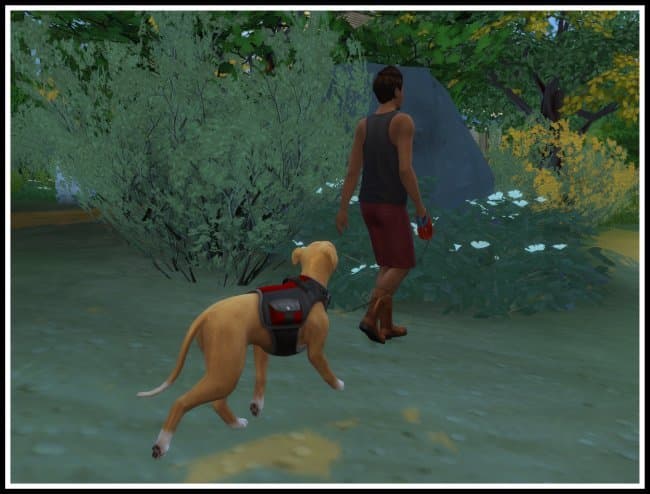 Hire a Dog Walker Sims 4 Mod