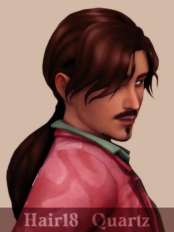 Sims 4 Ponytail for Male Sims