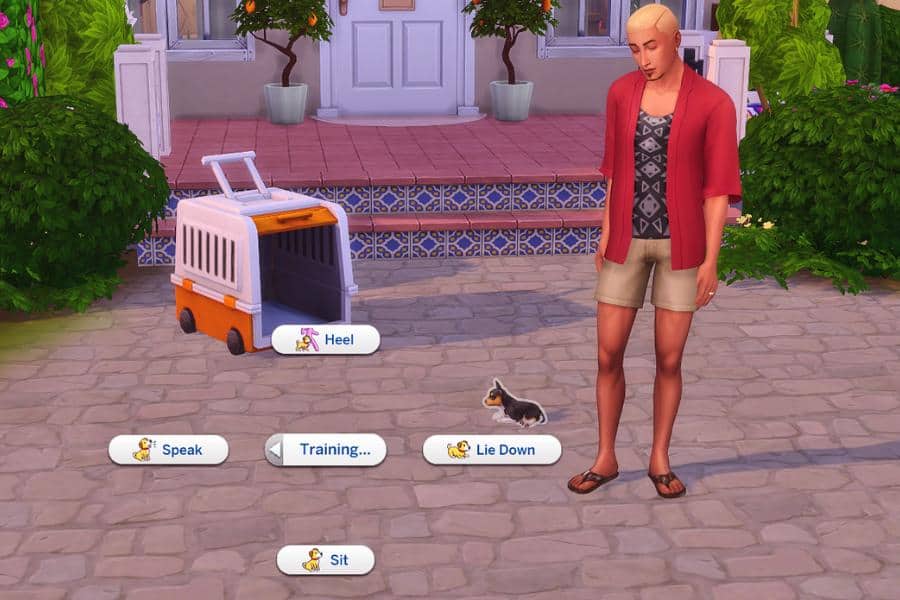 Sims 4 Train Your Puppies Mod