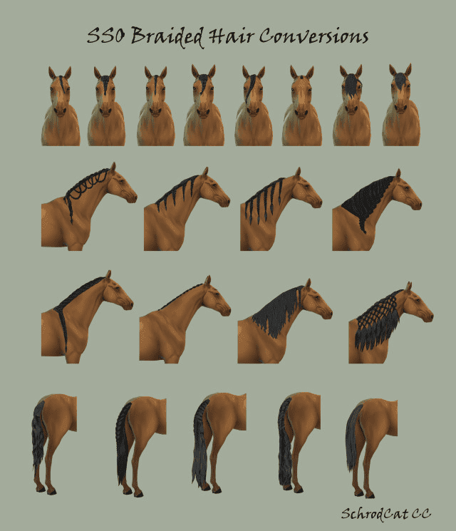 SSO Braided Mane Hair Conversions