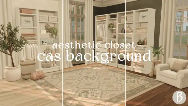 Aesthetic Closet CAS Background