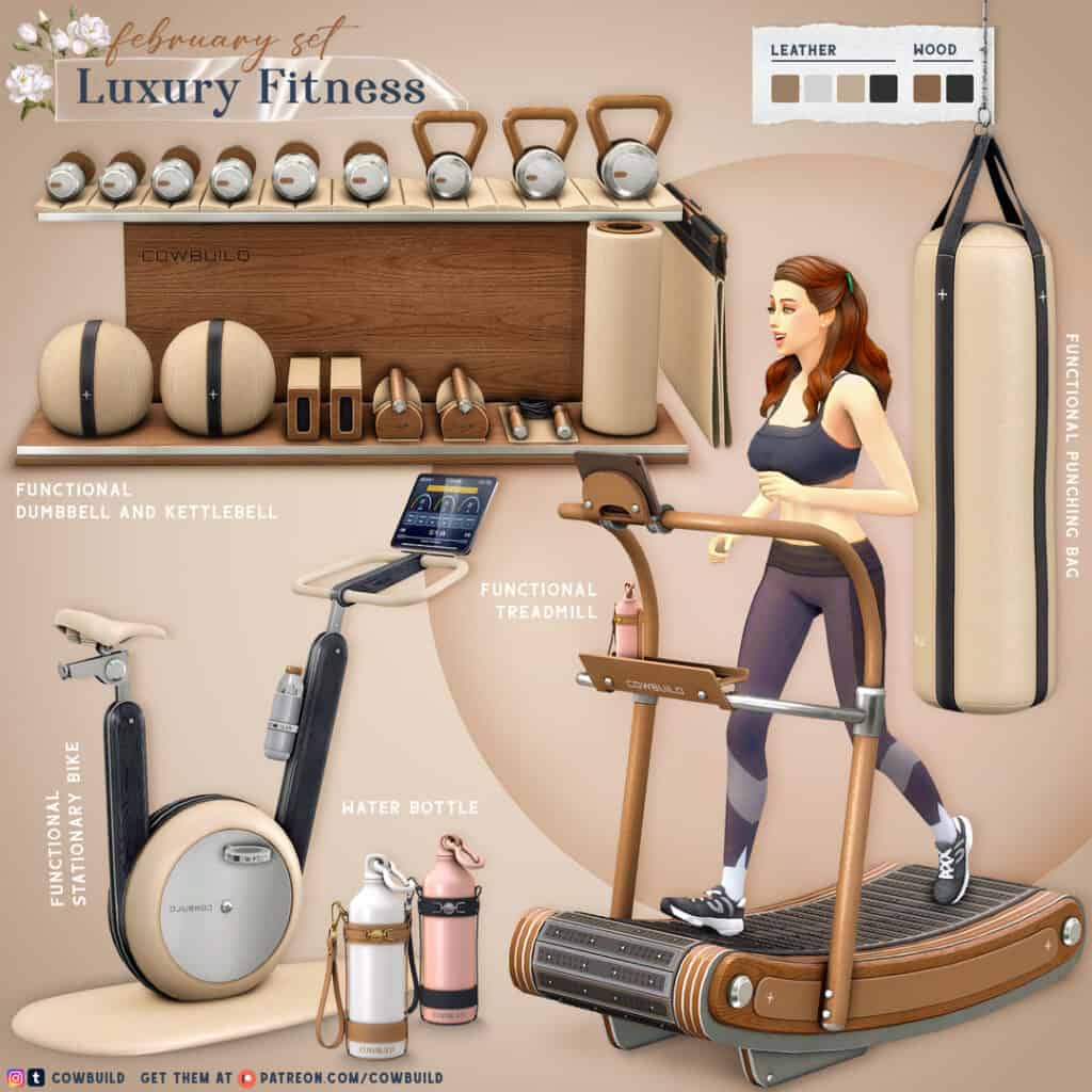 February 2025 Set 1: Luxury Fitness