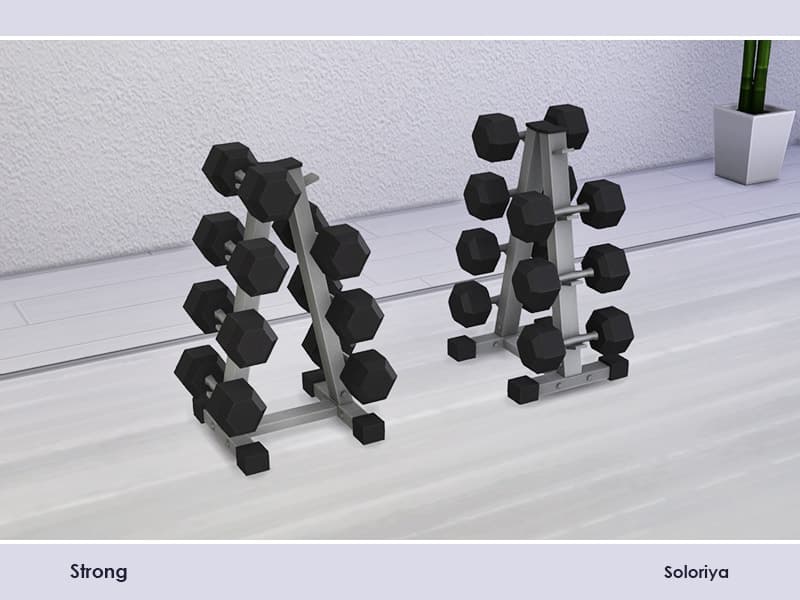 Strong Hex Dumbbell Ruck V1