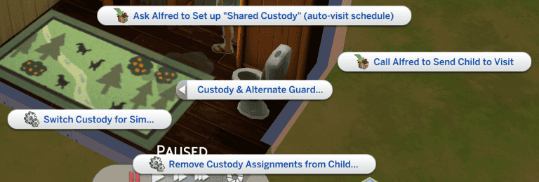 Custody and Permanent Separations