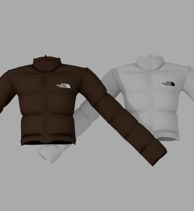 The North Face Puffer Jacket
