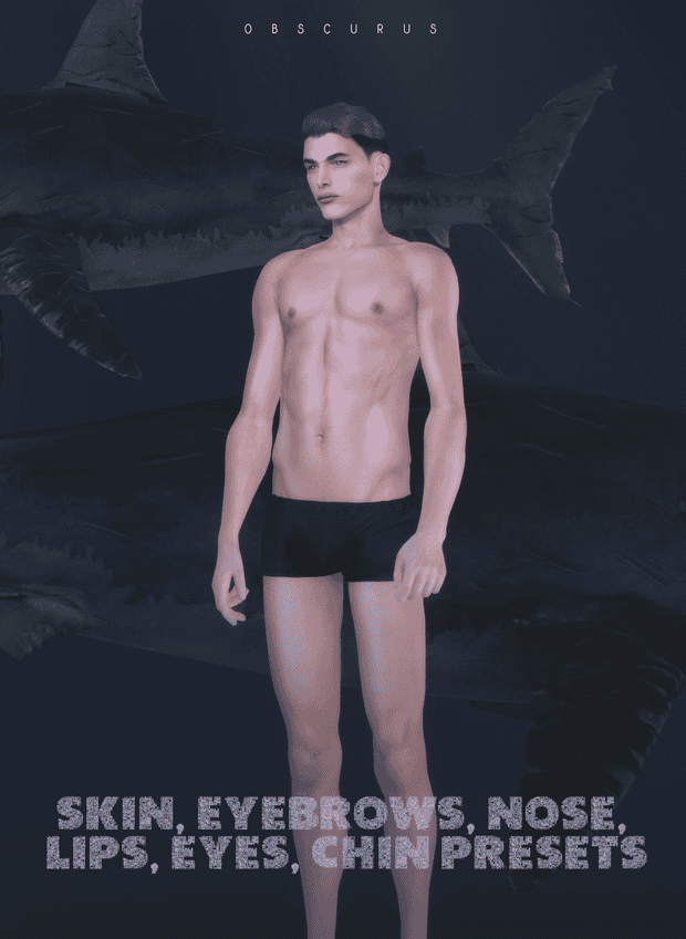 Skin Presets
