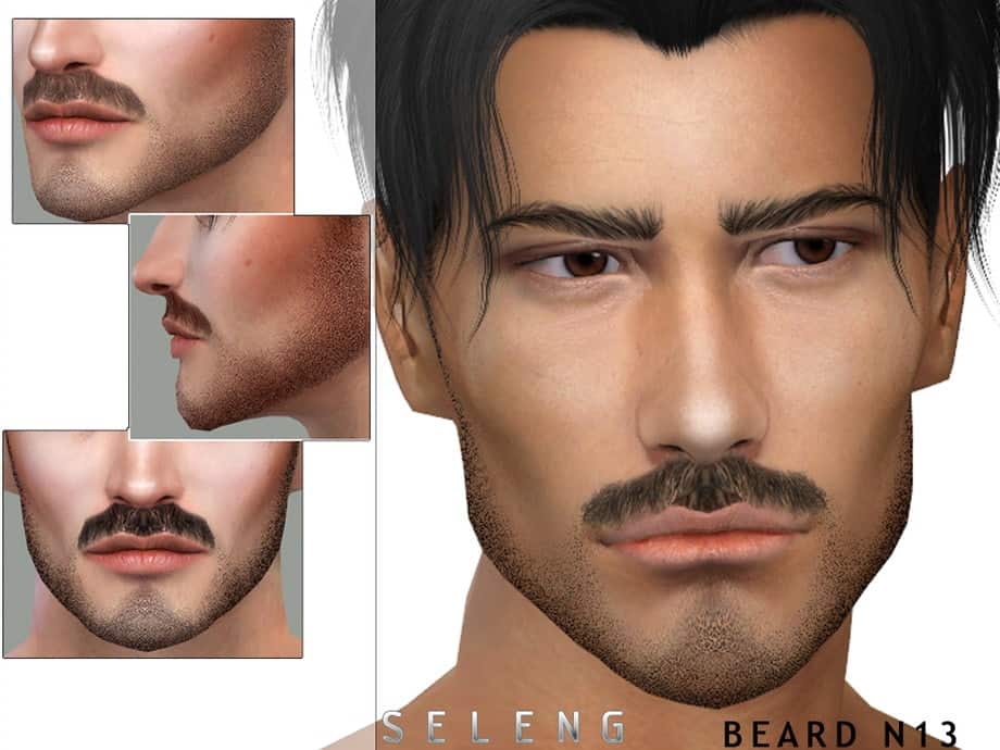 Beard N13