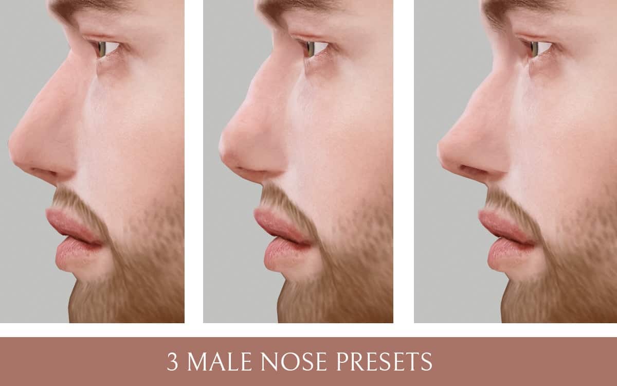 3 Male Noses Presets