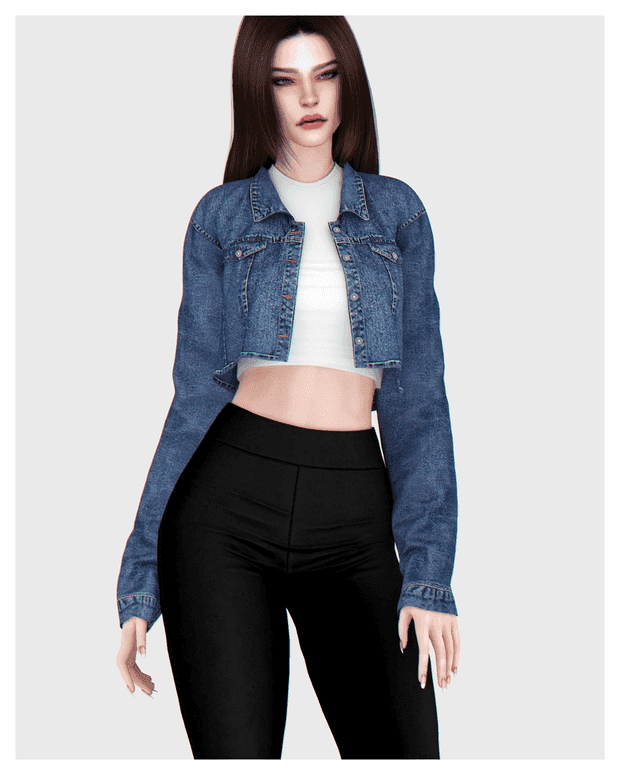 Crop Denim Jacket