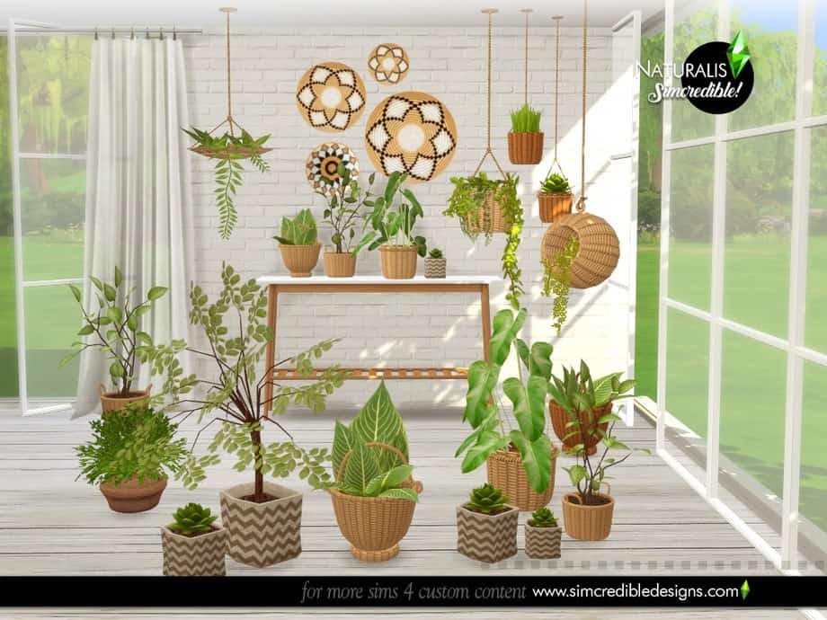 Naturalis Plants