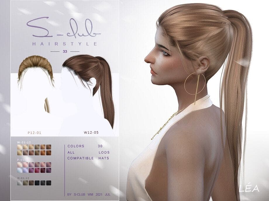 Ponytail Hairstyle
