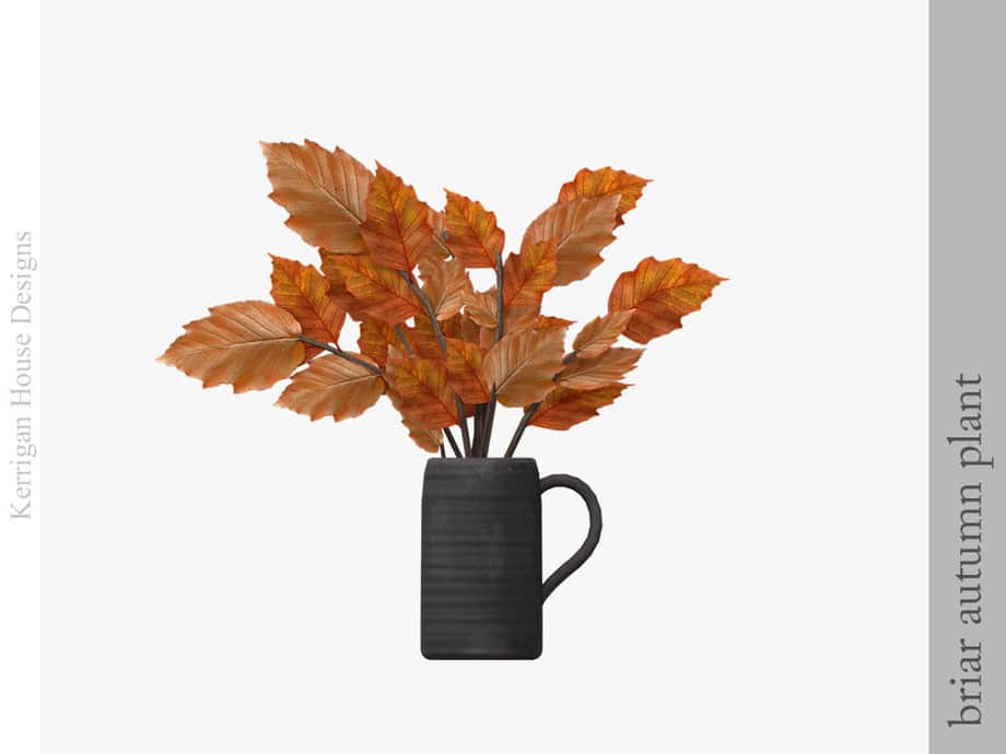 Briar Autumn Plant