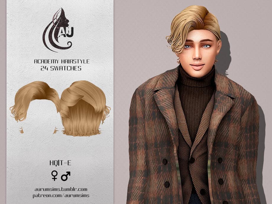 Academy Hairstyle