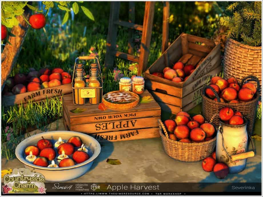 Apple Harvest