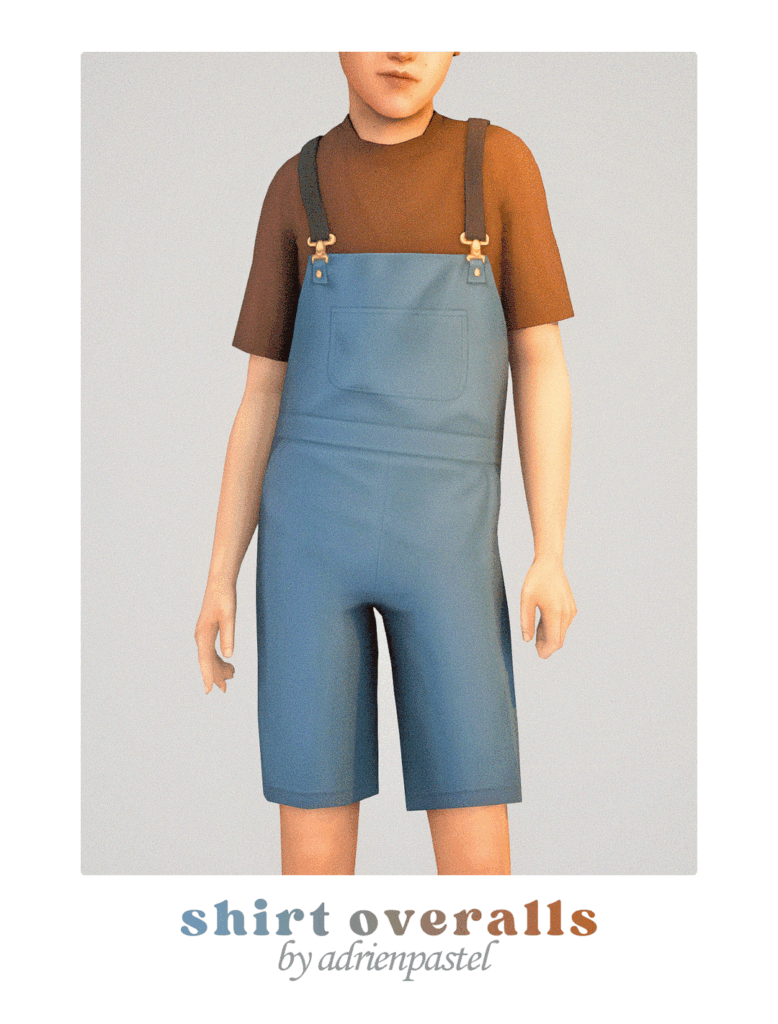 Shirt Overalls
