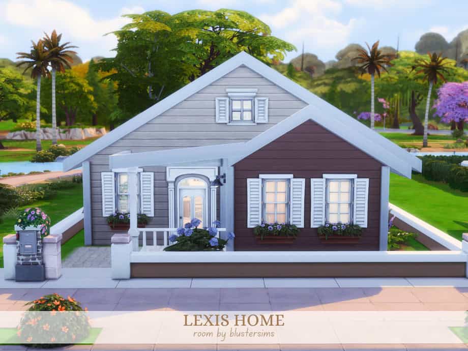 Lexis Starter