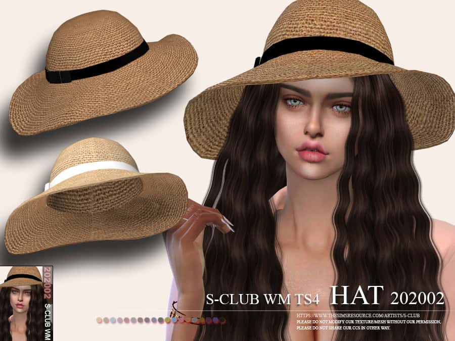WM Hat