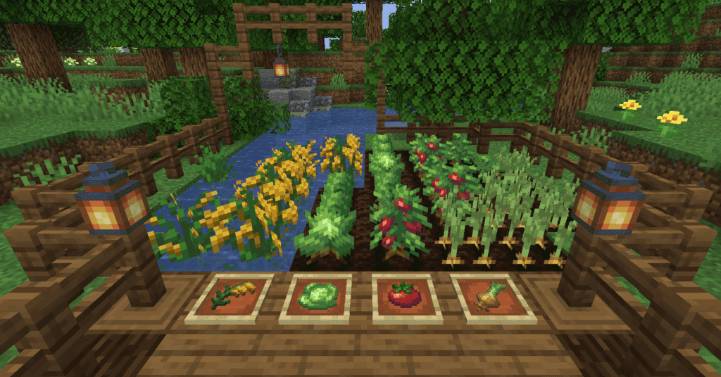 Farmer’s Delight