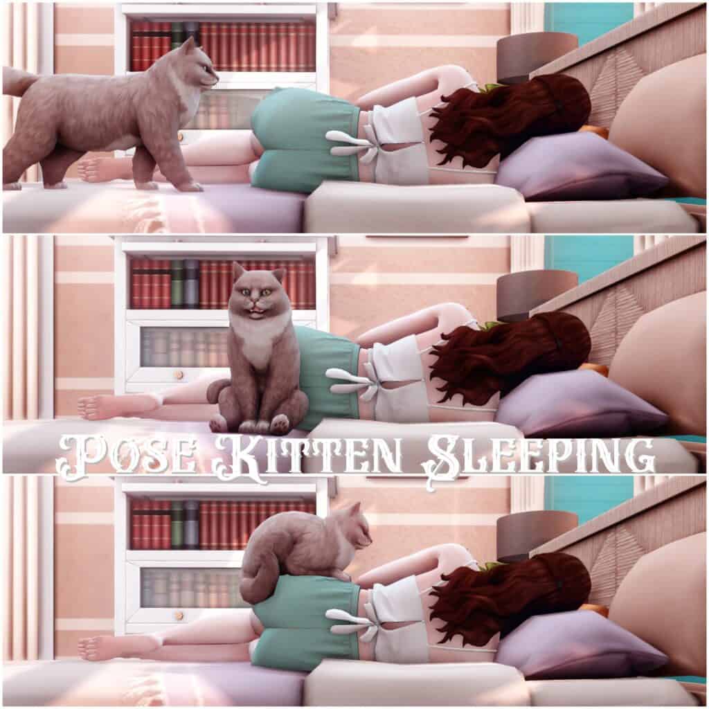 Pose Kitten Sleeping