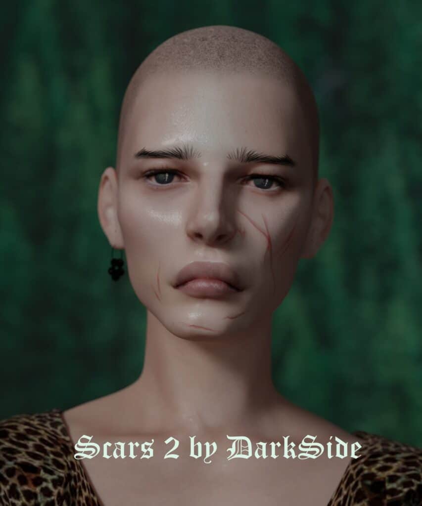 Scars 2