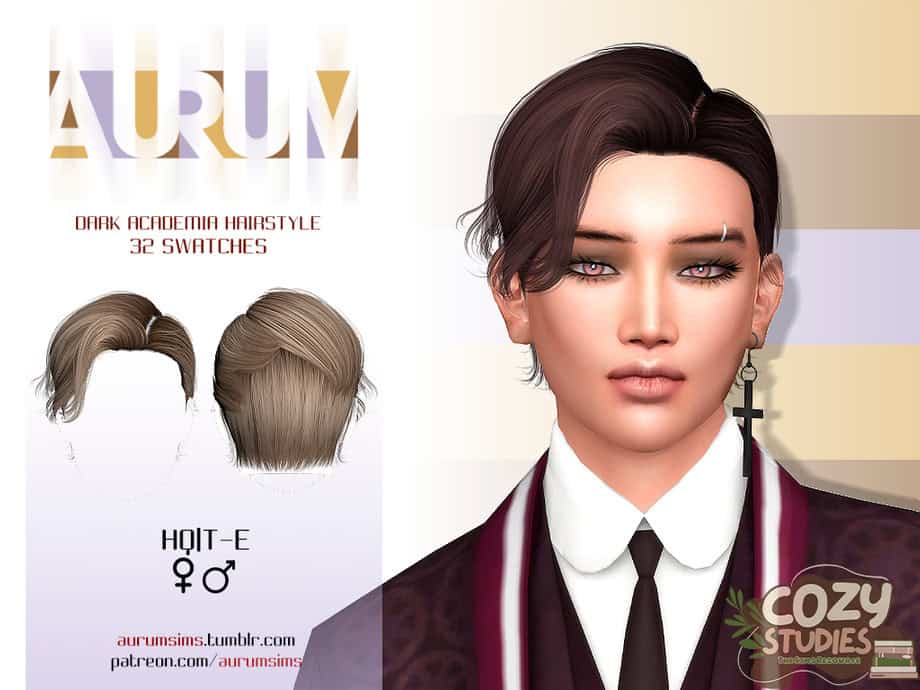 Dark Academia Hairstyle