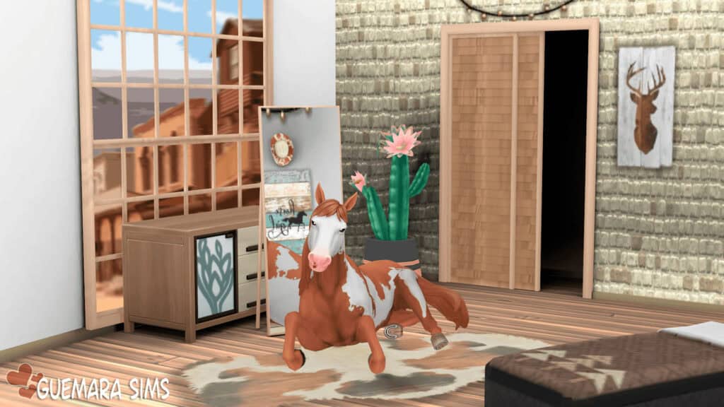 Country Room CAS Background