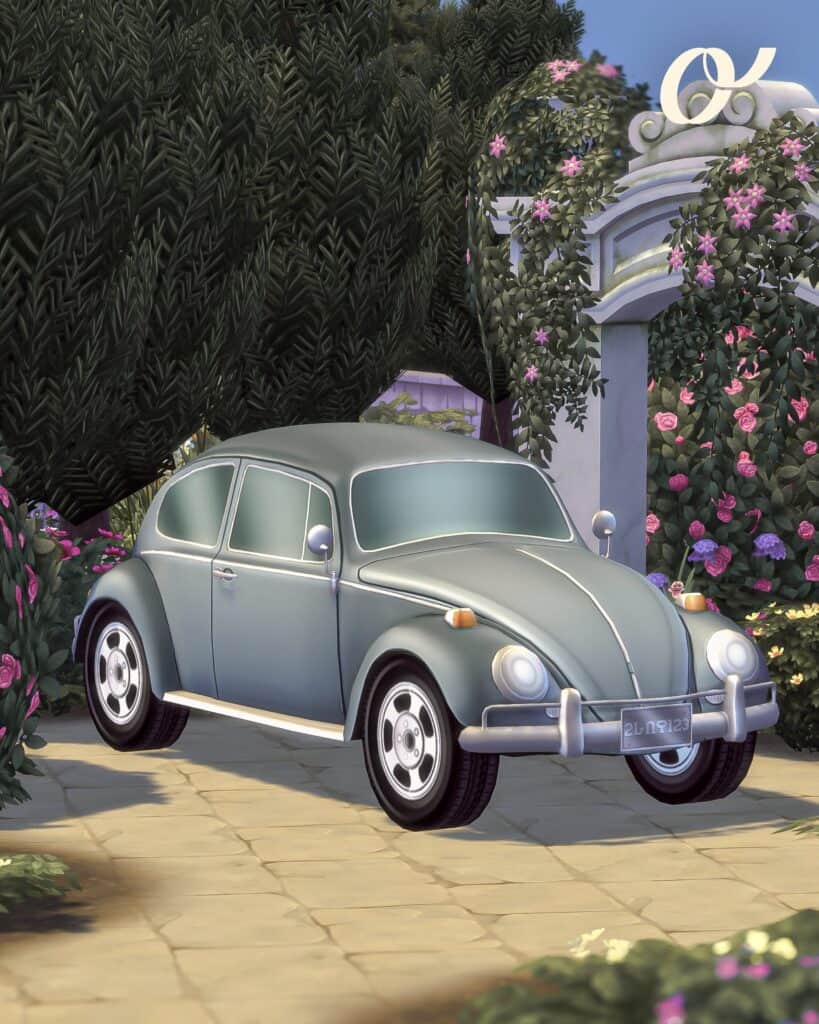 Blossom & Bone: Vintage Volkswagen Beetle