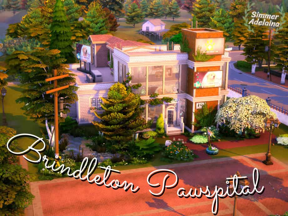 Brindleton Pawspital