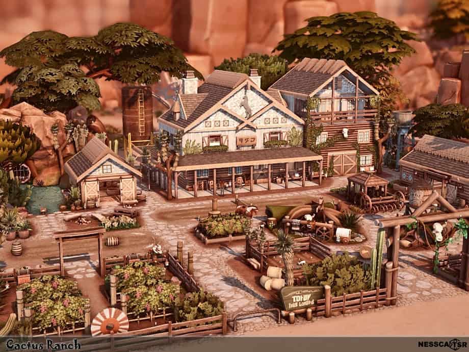 Cactus Ranch