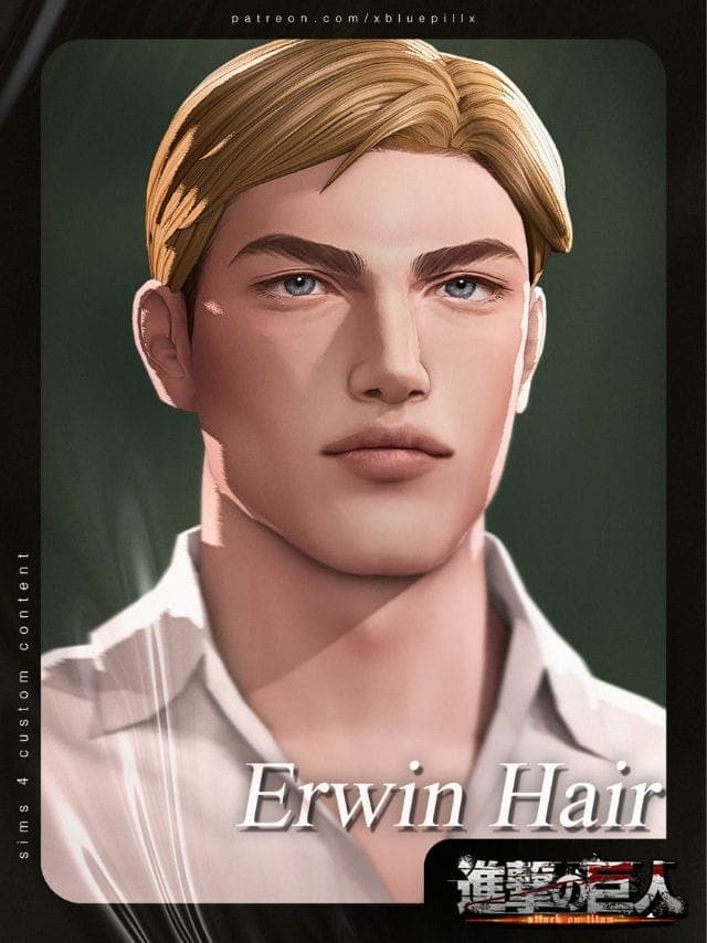 4 AOT Erwin Hair