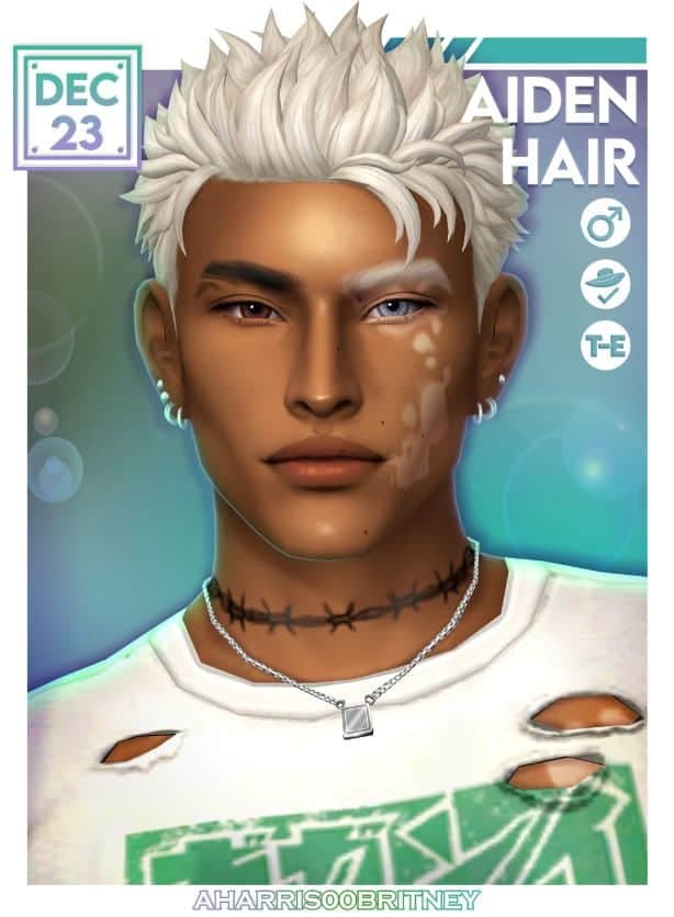 94 Aiden Hair