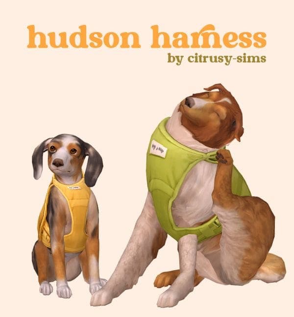Hudson Harness