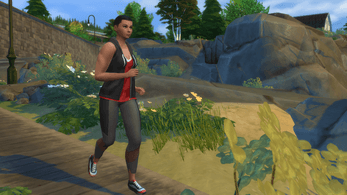 Fitness Controls