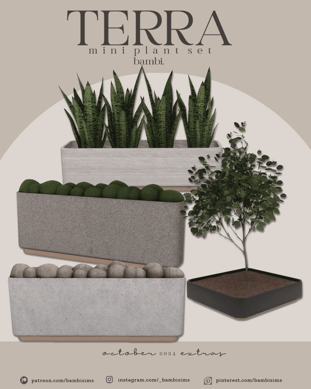 Terra Miniplant Set