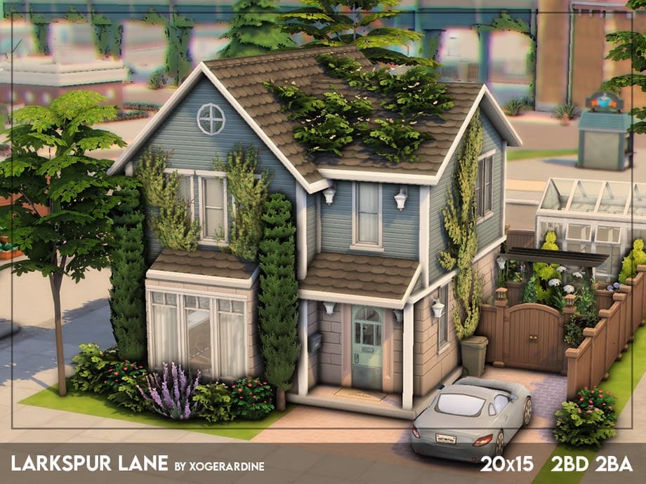 Larkspur Lane