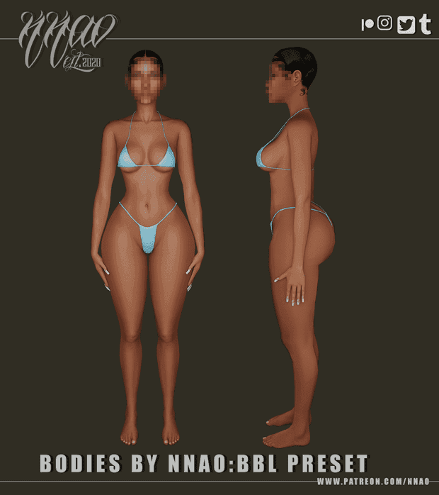 Bodies
