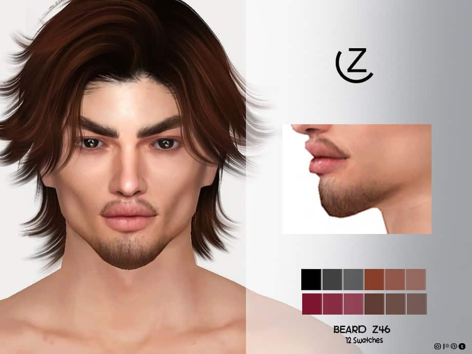 Beard Z46