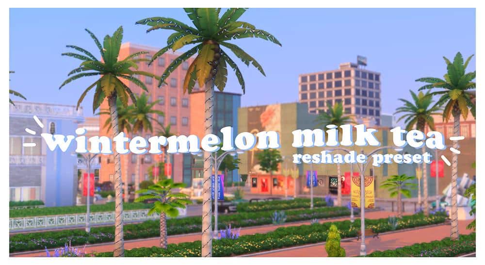 Wintermelon Milk Tea Reshade Preset