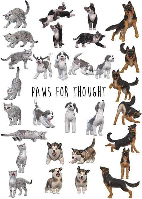Sims 4 Gallery Poses for Pets