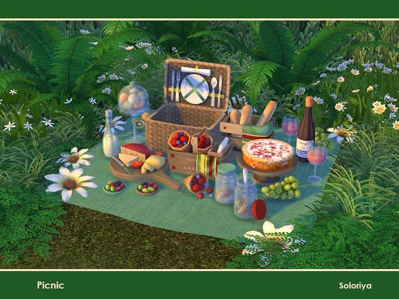 Sims 4 Picnic Clutter