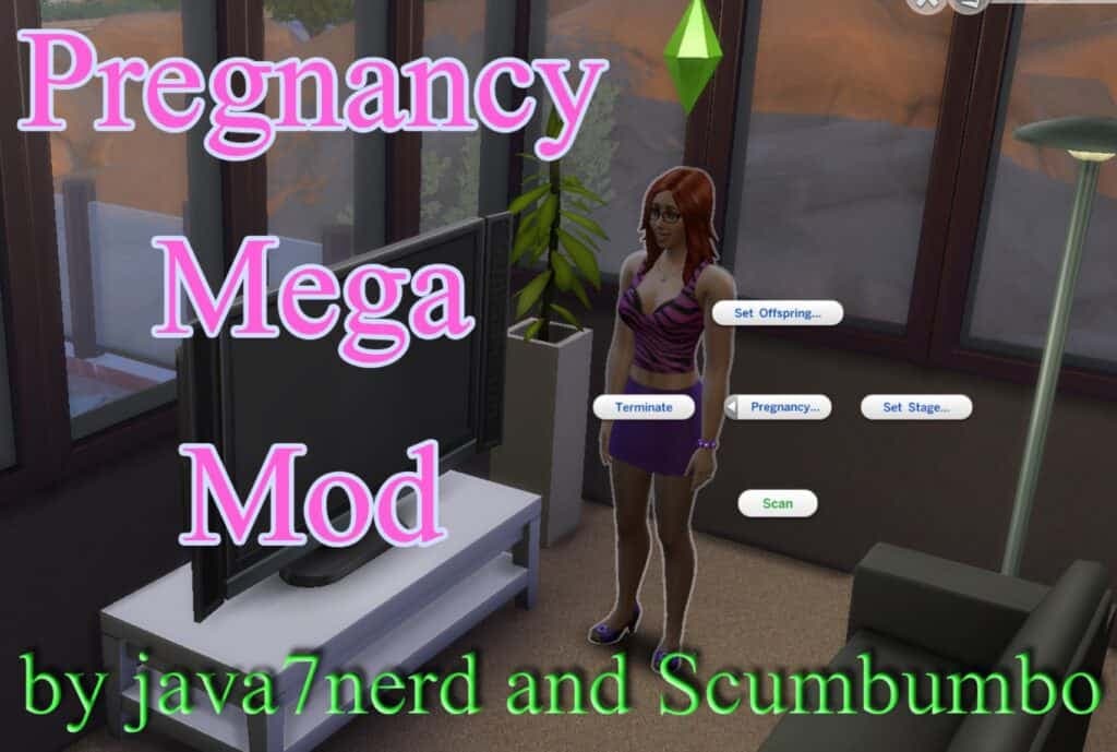 Pregnancy Mega Mod