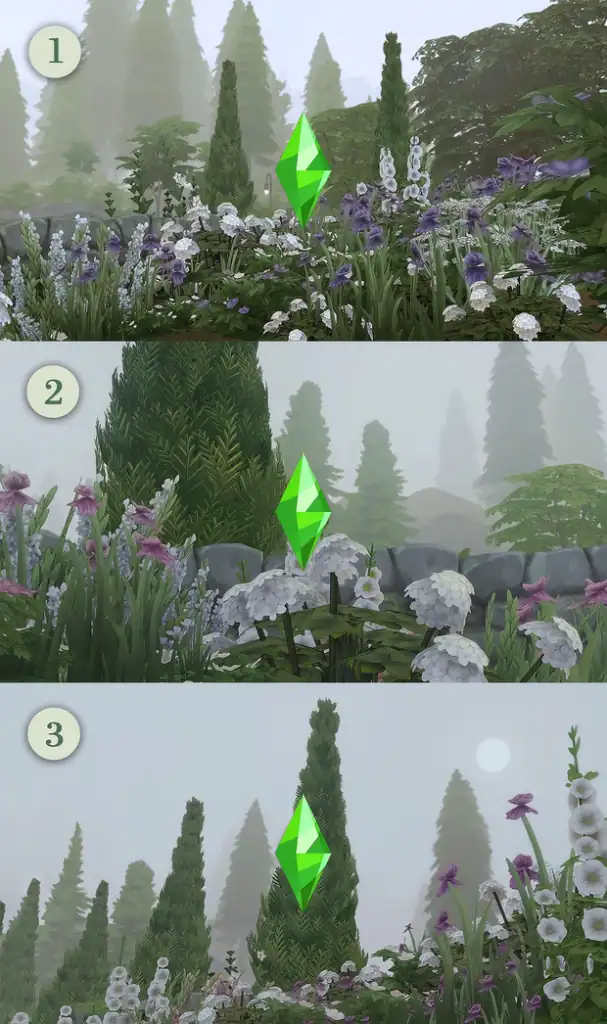 Foggy Meadow