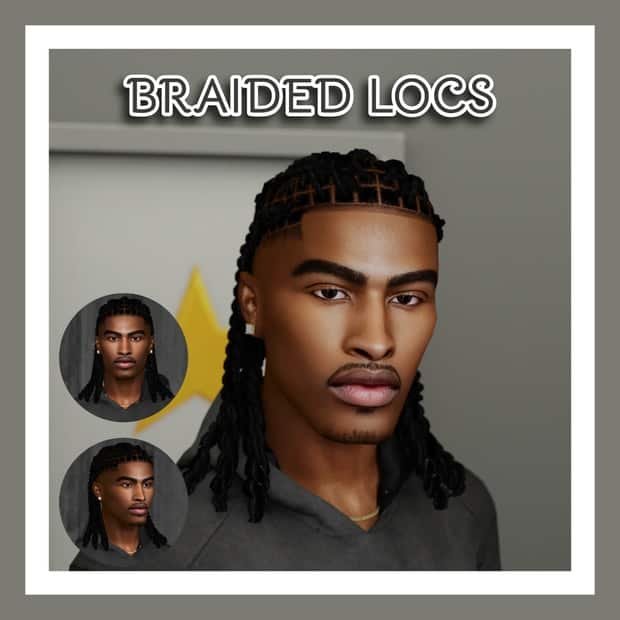 Braided Locs And Beard N4
