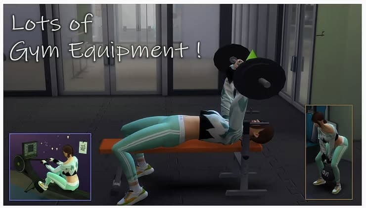 Lots Of Gym Equipment