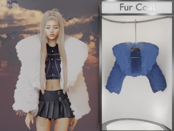 Fur Coat