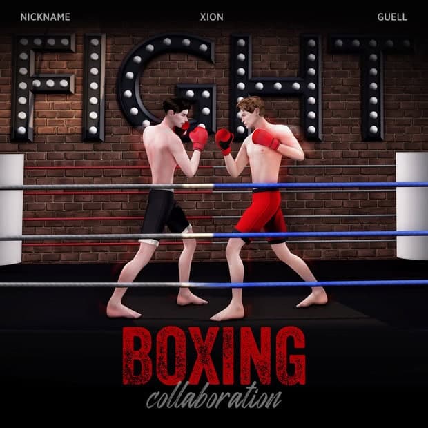 Boxing Collaboration