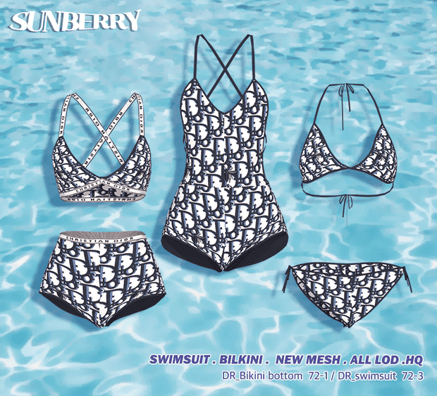 De Gift Set-Dior Swimsuit Set 72