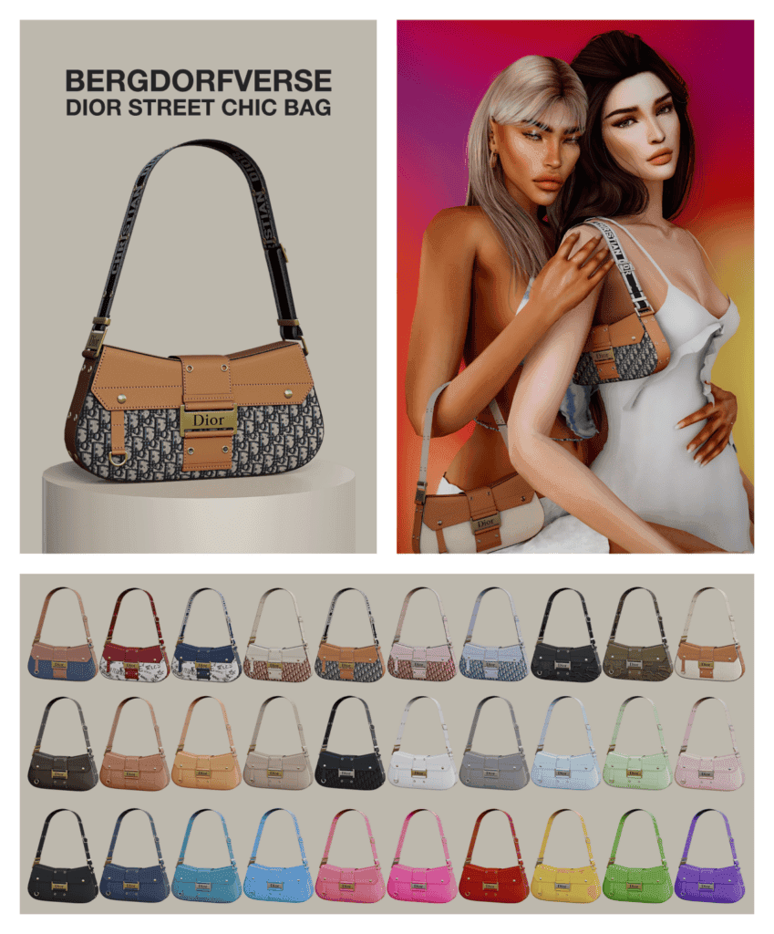 Dior Street Chic Bag